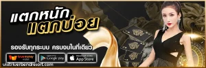 Amsien แตกง่าย